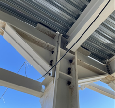 Демонстрация вута 